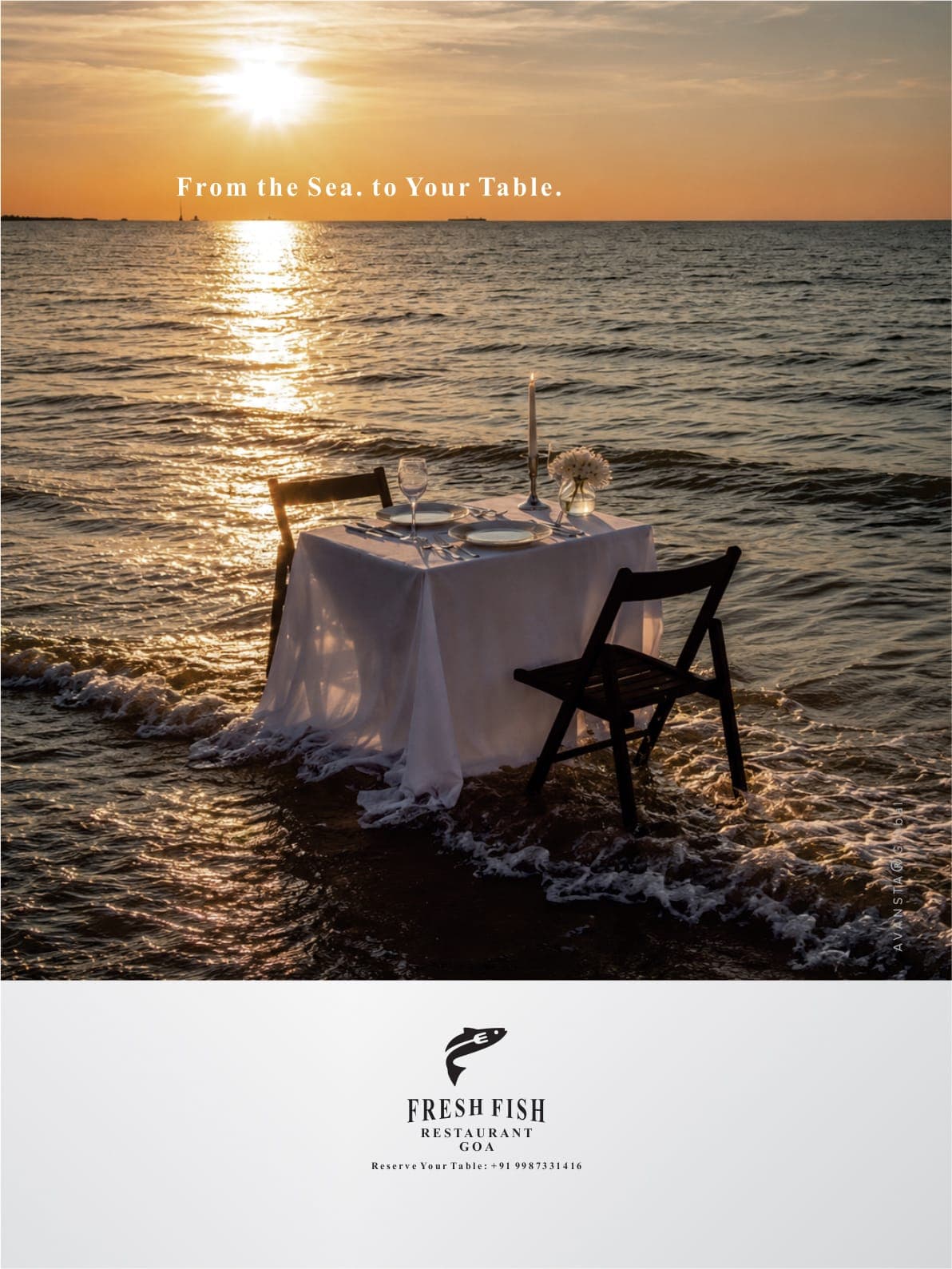 Fresh Fish Restaurant — AVANSTAr 2026 work