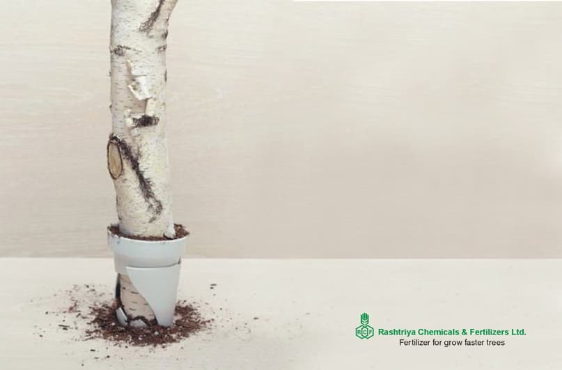 RCF — foundation piece